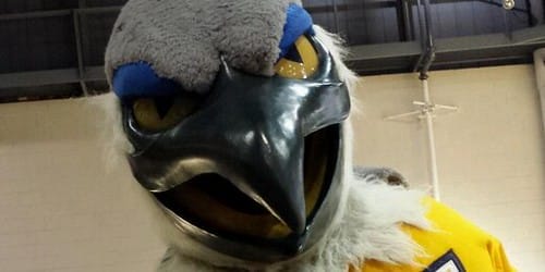 Member Submitted Photos