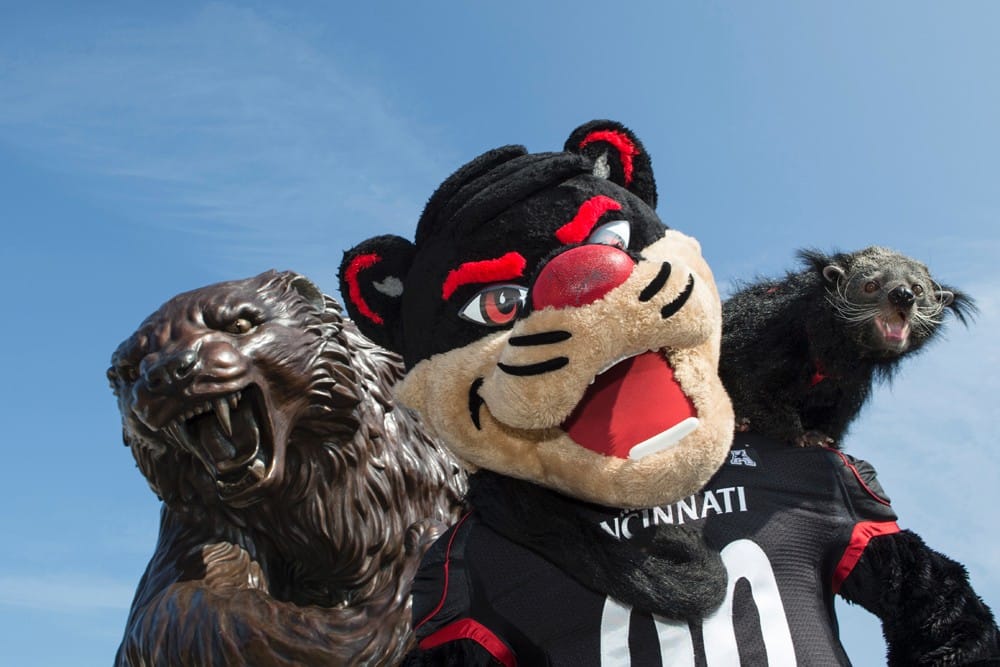 UC Bearcat Submitted Photos